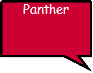  Panther 